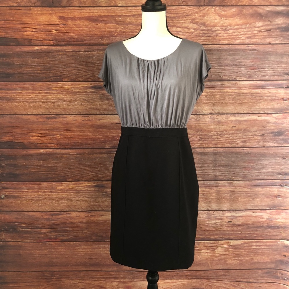 Ann Taylor LOFT pencil skirt dress (8P)